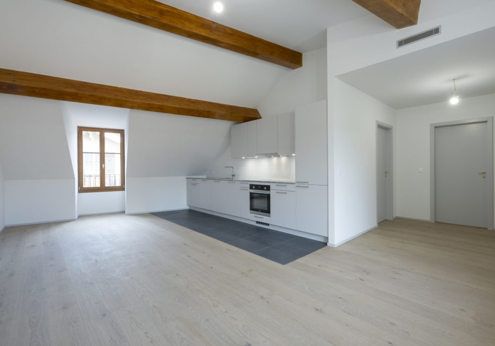 116 grand lancy 54 appart 3 -16 10 tg 24