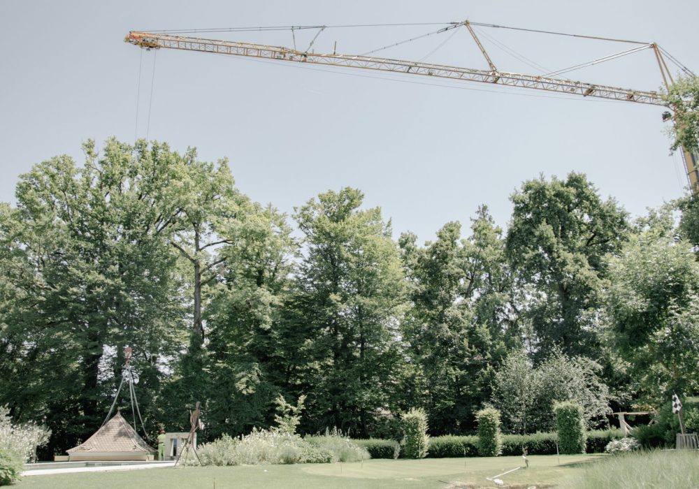 839_Grue_toiture_abri_3